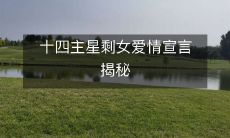 十四主星剩女爱情宣言揭秘