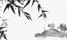 婚戒女生戴哪只手 手指带戒指的含义怎么说女