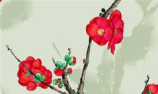 2023年3月9日提车好不好 是提新车的吉日吗