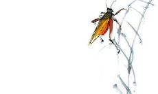 已婚男人戴戒指图 男人戒指应该戴在哪个手指上