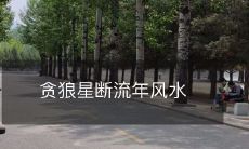 贪狼星断流年风水