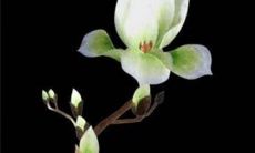 2023年2月28日适宜提车吗 这天日子如何