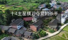 十4主星横刀夺爱的杀手锏