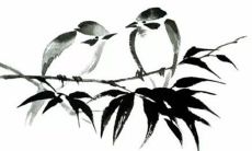 2023年3月10日适宜提车吗 这天日子如何