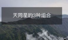 天同星的3种组合