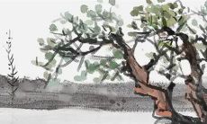 2023兔年公历2月提新车最佳吉日一览表 买车吉日查询