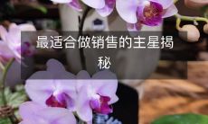 最适合做销售的主星揭秘