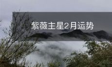 紫薇主星2月运势
