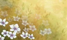 2023年3月17日公司开张好不好 是开张良机吗