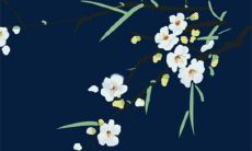 2023年3月12日开张日子好么 今日营业怎么样