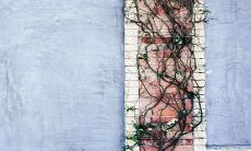 端午的美好寓意及象征是什么 有什么风俗习惯