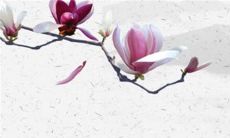 2023年3月13日适合开张吗 是大吉日子吗