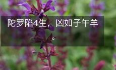 陀罗陷4生，凶如子午羊。