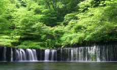 每日五行穿衣2023年4月9日 今日旺运颜色