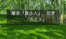 擎羊「真小人」，陀罗「伪正人」