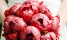 2023兔年4月上等订婚吉日查询 最佳订婚日子