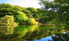 每日五行穿衣2023年4月16日 今日吉利颜色