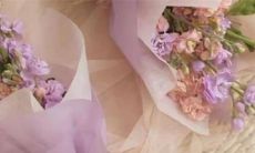 2023年二月订婚黄道吉日 2023年农历二月哪天订婚好