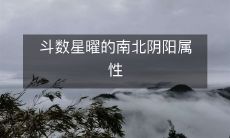 斗数星曜的南北阴阳属性