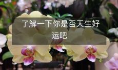 了解一下你是否天生好运吧