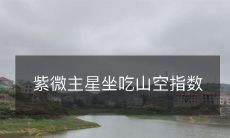 紫微主星坐吃山空指数