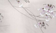 2022年上车牌吉日 提车挂牌最吉利日子