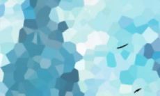 最有魅力的前三名星座