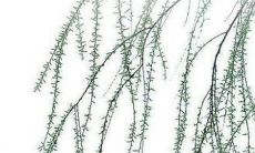 2023年正月二十一日子好不好 2023年正月二十一开工好吗