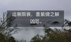 运衰限衰，喜紫微之解凶厄。