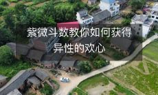 紫微斗数教你如何获得异性的欢心