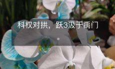 科权对拱，跃3汲于禹门。