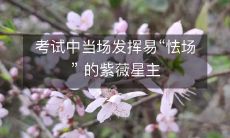 考试中当场发挥易“怯场” 的紫薇星主