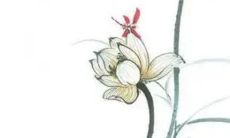 2023正月十五开工日子好吗 元宵节开工好吗2023年