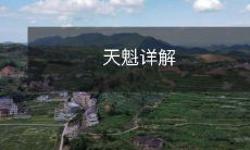 天魁详解