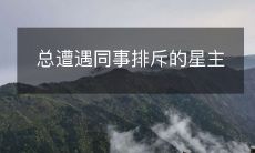 总遭遇同事排斥的星主