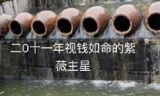 二0十一年视钱如命的紫薇主星