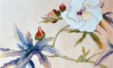 2023年3月15日提新车好不好 是黄道吉日吗