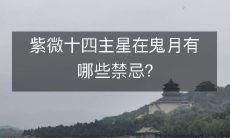 紫微十四主星在鬼月有哪些禁忌？