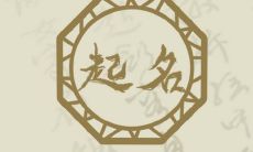 2023年属兔免费起名 经典好听的兔宝宝名字