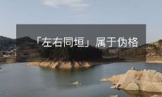 「左右同垣」属于伪格