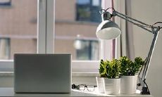 己亥日柱老公事业好有钱 己亥日柱富贵的条件