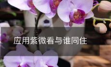 应用紫微看与谁同住