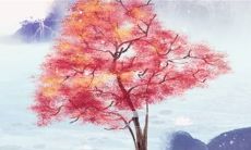 2023年3月29日提车日子好吗 适不适合买新车