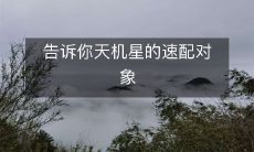 告诉你天机星的速配对象