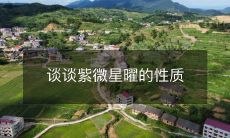 谈谈紫微星曜的性质