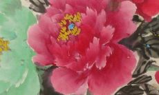 2023年2月26日开工好不好 是开工吉日吗