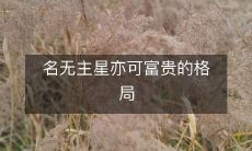 名无主星亦可富贵的格局