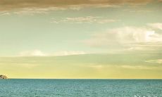 1998年9月属什么生肖 96鼠98年虎婚配穷一辈