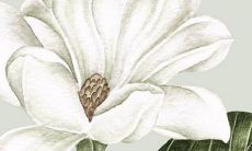 2023年2月12日可以开工吗 是黄道吉日吗