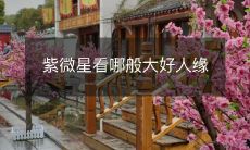 紫微星看哪般大好人缘